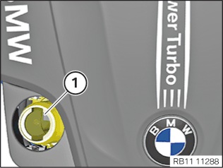 Engine Oil Service – BMW N20 Turbo 4-Cylinder Engine
