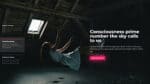 cybercarousel2.jpg